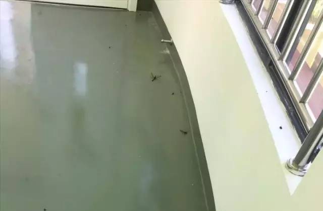 死尸遍地！寧波一幼兒園裝修后現(xiàn)場(chǎng)觸目驚心！