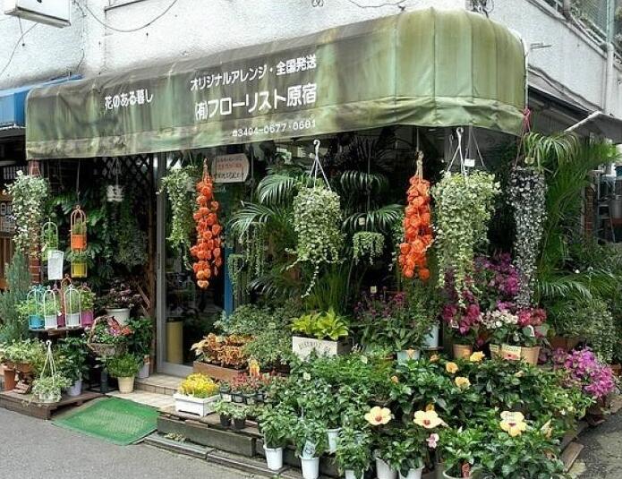 90后美女在閣樓開店鋪！房間太破，奇思妙想用各種植物來掩蓋